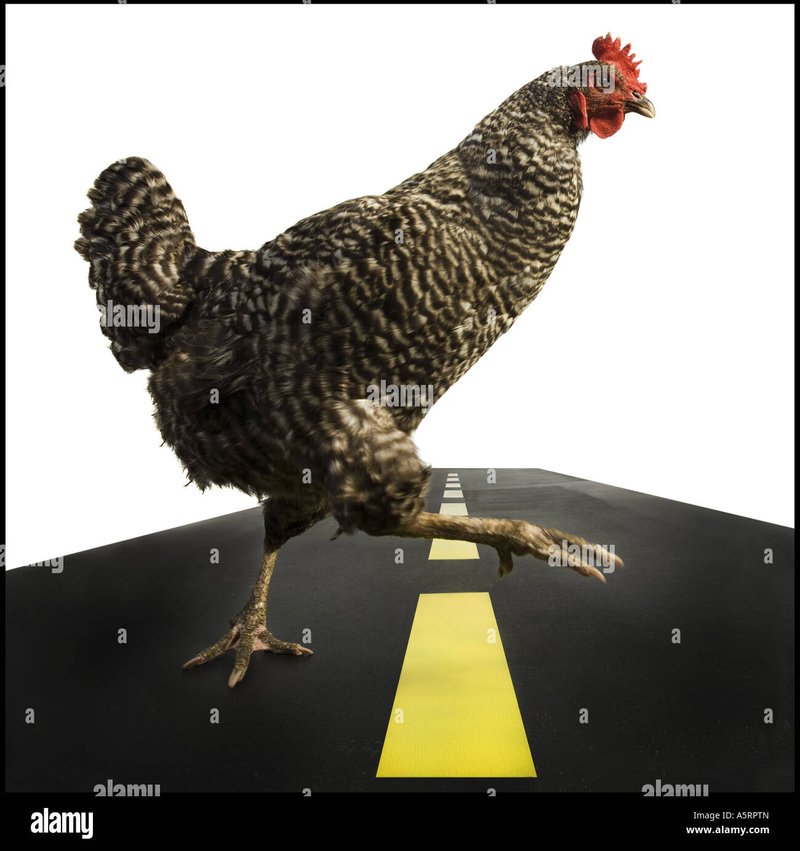 Jugar chicken road in Spain Jugar chicken road in Spain