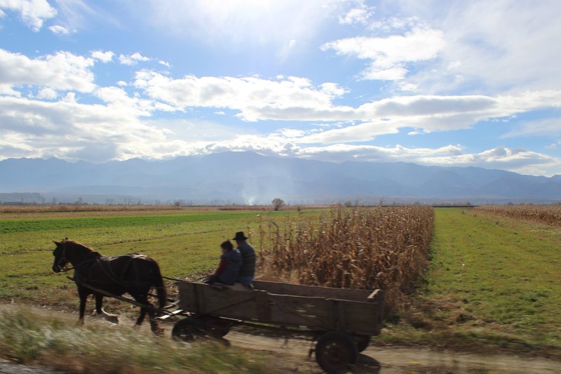 Descoperă Marea Istorie a Jocului Chicken Road în România - prezentare generală